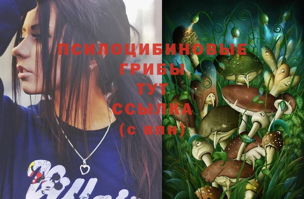 эйфоретик Медвежьегорск