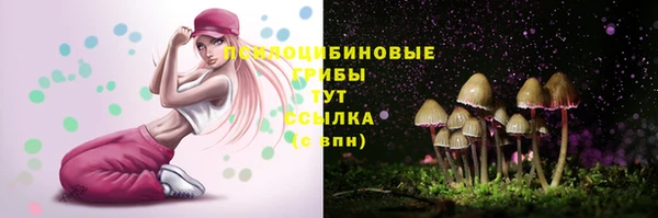 эйфоретик Медвежьегорск