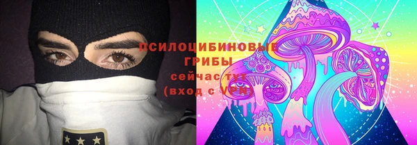 эйфоретик Медвежьегорск