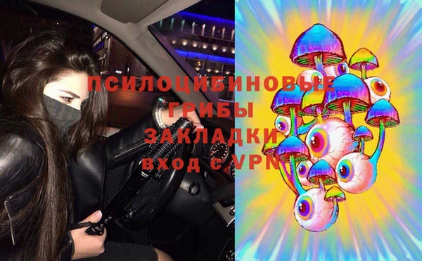 тгк Медногорск