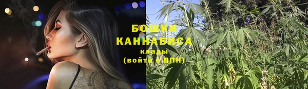 тгк Медногорск