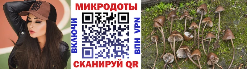 Псилоцибиновые грибы Psilocybe  где продают   Нытва 